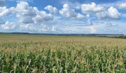 Fazenda à venda, AREA RURAL DE BALSAS - MA - Balsas/MA