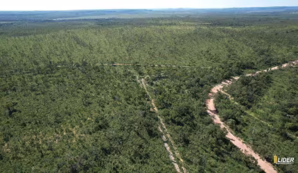 Fazenda à venda, AREA RURA DE PALMAS TO - PALMAS/TO