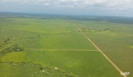 Fazenda à venda, AREA RURAL DE PEIXOTO DE AZEVEDO - MT - Peixoto de Azevedo/MT