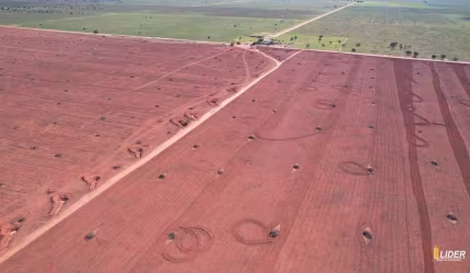 Fazenda à venda, AREA RURAL DE JABORANDI - BA - Jaborandi/BA