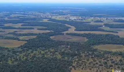 Fazenda à venda, AREA RURAL DA AQUIDAUANA-MS - Aquidauana/MS
