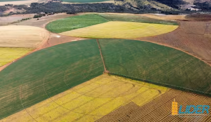 Fazenda à venda, Area rural de cristalina - CRISTALINA/GO