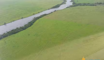 Fazenda à venda, AREA RURAL DE COCALINHO - MT - Cocalinho/MT