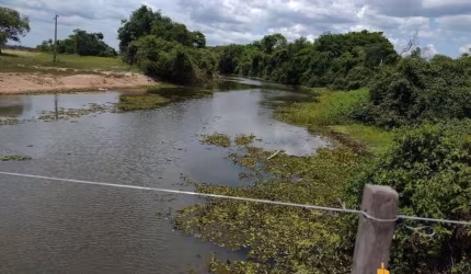 Fazenda à venda, AREA RURAL DE POCONÉ - MT - Poconé/MT