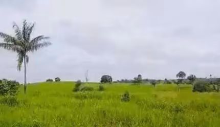 Fazenda à venda, AREA RURAL DE MARABA - PA - Marabá/PA
