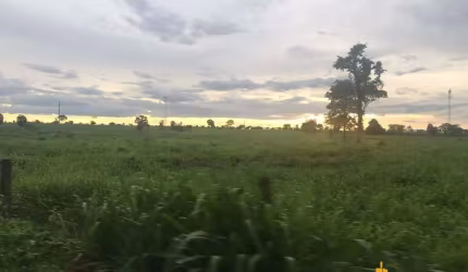 Fazenda à venda, AREA RURAL DE FLORES DE GOIAS - GO - Flores de Goiás/GO