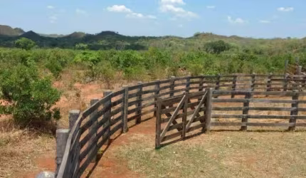 Fazenda à venda, ARERA RURAL DE SAO BENTO - MA - São Bento/MA