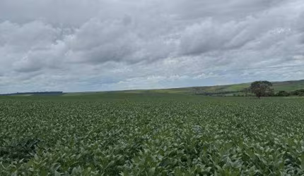 Fazenda à venda, AREA RURAL DE LUZIANI-GO - Luziânia/GO