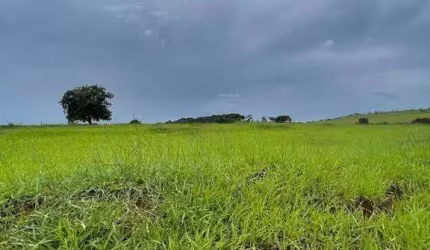 Fazenda à venda, ÁREA RURAL DE UBERLÂNDIA - Uberlândia/MG