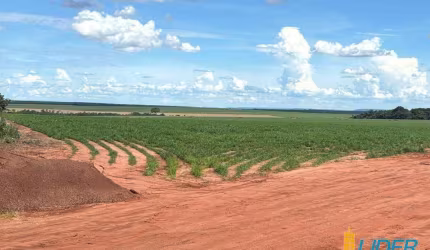 Fazenda à venda, Área Rural de Rio Verde - RIO VERDE/GO