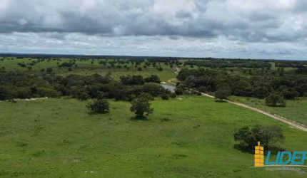 Fazenda à venda, AREA RURAL DE FORMOSO DO ARAGUAIA - TO - Formoso do Araguaia/TO