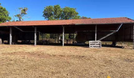 Fazenda à venda, AREA RURAL COCALINHO - MT - Cocalinho/MT
