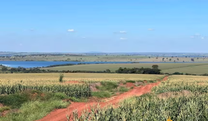 Fazenda à venda, Área rural de Quirinópolis - QUIRINOPOLIS/GO