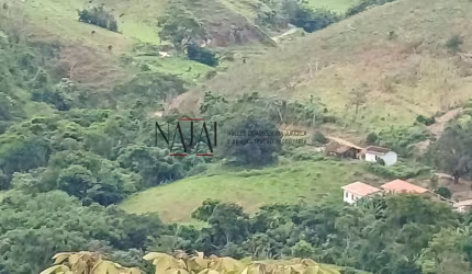 Vendo excelente Sítio com 54,9 hectares-Santa Barbára-Sapucaia-Rj.
