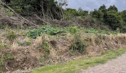 'Terreno em Linha 12 - Carlos Barbosa: Venda por R$165.000,00 e Locação por R$0,00'