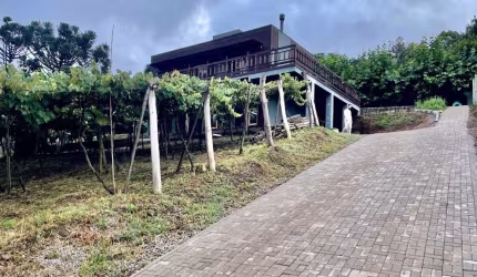 'Casa de luxo a venda no Vale dos Vinhedos - Bento Gonçalves: 184m², 5 dormitórios, 2 banheiros por R$1.900.000'