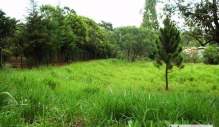 Área à venda, 5040 m² por R$ 2.800.000,00 - Joapiranga - Valinhos/SP