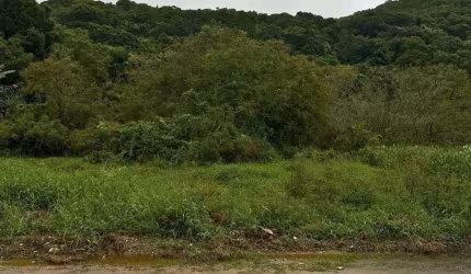Terreno em Mariscal