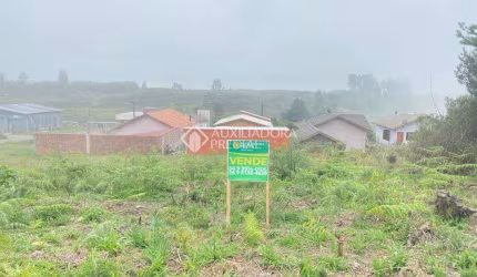 Terreno à venda na Giselda Pinto Dos Santos, 3, Cipó, São Francisco de Paula, 360 m2 por R$ 130.000