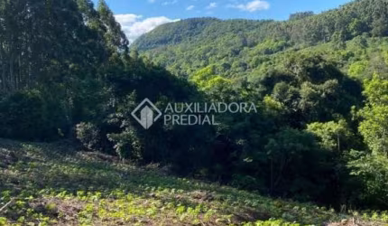 Terreno à venda na Estrada Da Areia, 3330, Areia, Rolante, 4518 m2 por R$ 52.000