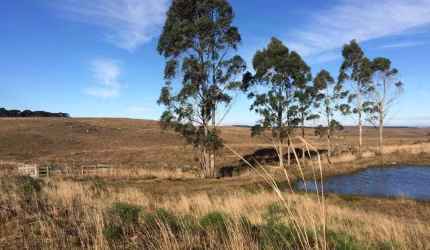 Fazenda à venda na Getúlio Vargas, 937, 0001, Centro, Cambará do Sul, 15000 m2 por R$ 700.000