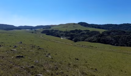 Fazenda à venda na Getúlio Vargas, 937, Centro, Cambará do Sul, 1760000 m2 por R$ 5.200.000
