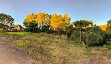 Terreno à venda na Xavantes, 001, São Bernardo, São Francisco de Paula, 840 m2 por R$ 406.000