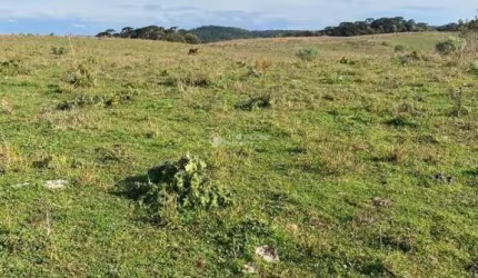 Terreno comercial à venda na Getúlio Vargas, 937, 1000, Centro, Cambará do Sul, 3180000 m2 por R$ 7.950.000