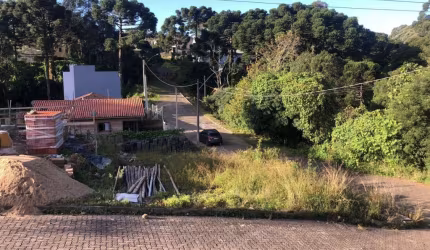 Terreno à venda na Das Camélias, 100010, Centro, São Francisco de Paula, 250 m2 por R$ 150.000