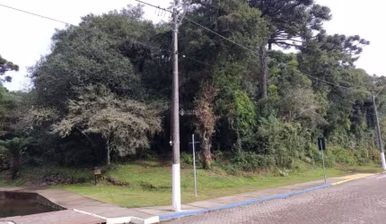 Terreno à venda na Alziro Torres Filho, 0002, Centro, São Francisco de Paula, 1719 m2 por R$ 480.000