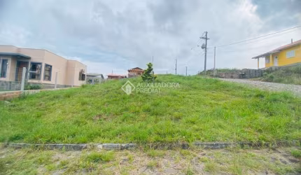 Terreno à venda na 25 De Março, 30, Campo do Meio, São Francisco de Paula, 360 m2 por R$ 149.000