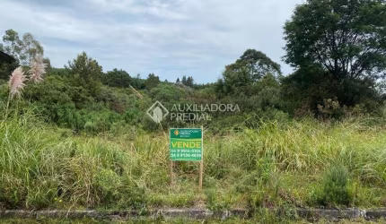 Terreno à venda na Giselda Pinto Dos Santos, 7, Cipó, São Francisco de Paula, 360 m2 por R$ 140.000
