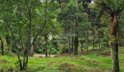Terreno à venda na Do Pessegueiro, 1, Centro, São Francisco de Paula, 3400 m2 por R$ 180.000