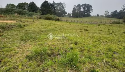 Terreno à venda na Giselda Pinto Dos Santos, 78, Cipó, São Francisco de Paula, 420 m2 por R$ 159.000