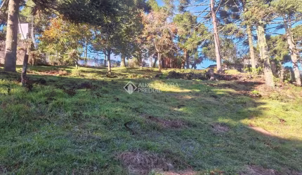 Terreno à venda na Tiaraju, 213, Remanso Indianópolis, São Francisco de Paula, 2123 m2 por R$ 636.000