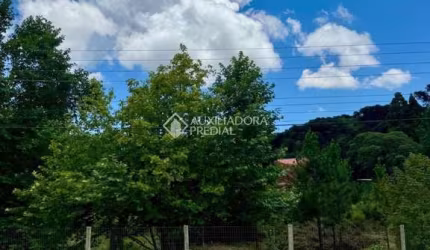 Terreno à venda na Boca Da Serra, 126, Remanso Indianópolis, São Francisco de Paula, 482 m2 por R$ 220.000