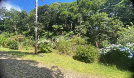 Terreno à venda na Guamirins, 85, Alpes, São Francisco de Paula, 600 m2 por R$ 140.000