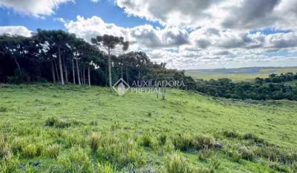 Terreno à venda na Lote 05, 100, Barragem do Salto, São Francisco de Paula, 50000 m2 por R$ 480.000