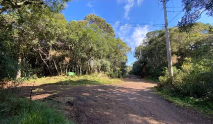 Terreno à venda na Quatis, 100, Colinas, São Francisco de Paula, 1413 m2 por R$ 220.000
