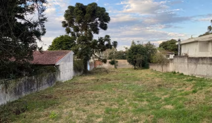 Espetacular Terreno no Jardim Social