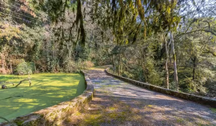 Chácara 62.550m² no Rondinha - Campo Largo