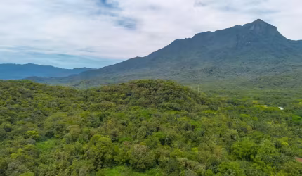 Chácara 81.756,00 m2 Porto de Cima