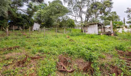 Terreno Próximo Alphaville Campo Largo