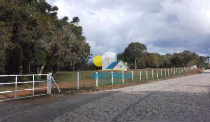 Chacara em São José dos Pinhais Pr