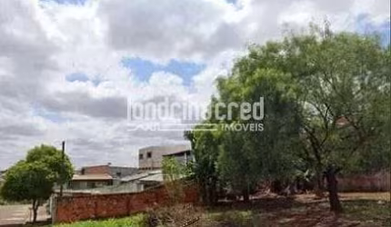 Terreno à venda 252M², Jardim Planalto, Londrina - PR