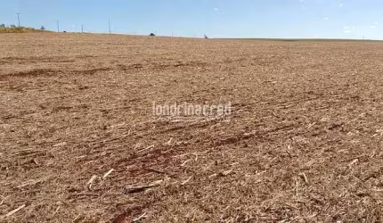 Chácara à venda 3000M², Centro, Cornélio Procópio - PR