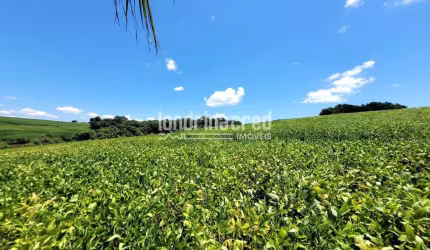 Chácara à venda Warta, Londrina - PR