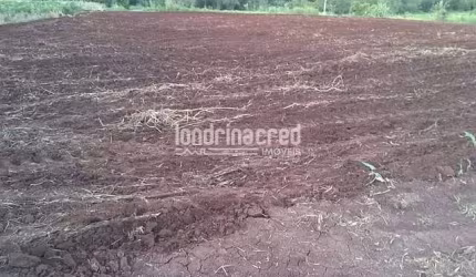 Chácara à venda 80000M², Centro, Jataizinho - PR