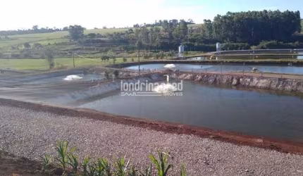 Chácara à venda Zona Rural, Nova Santa Rosa - PR