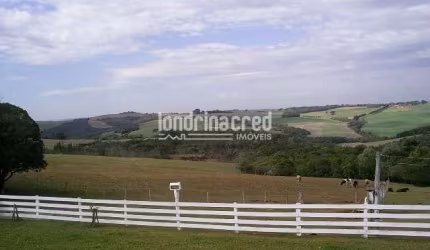 Chácara à venda Zona Rural, Ponta Grossa - PR
